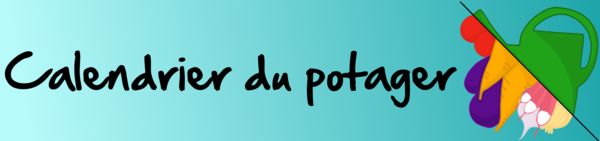 Le calendrier du potager